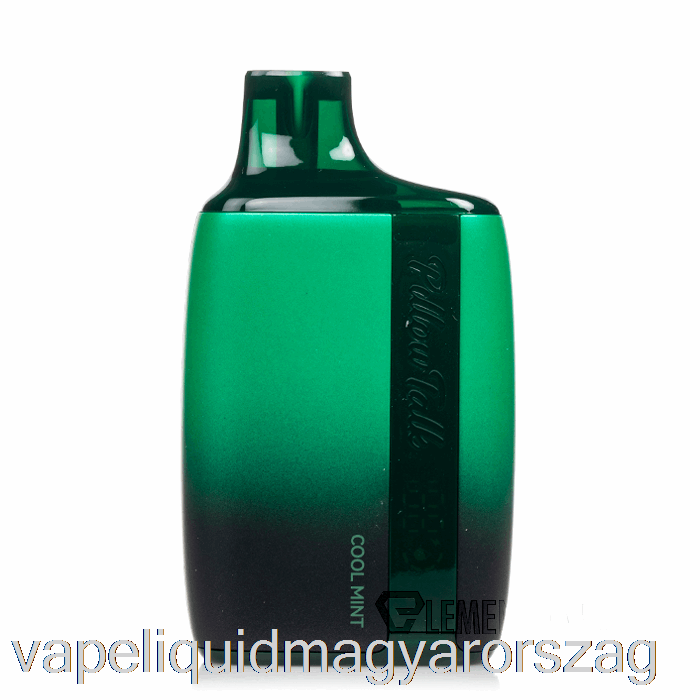 Párna Talk 8500 Eldobható Hideg Menta Vape Toll